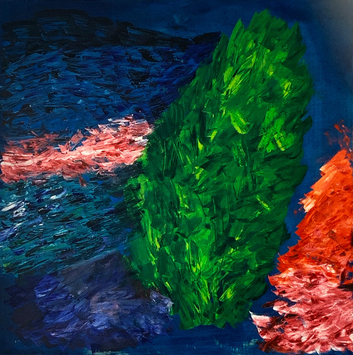 Coral 2